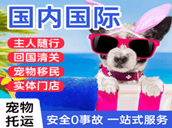 若羌楼兰国际宠物托运 【国